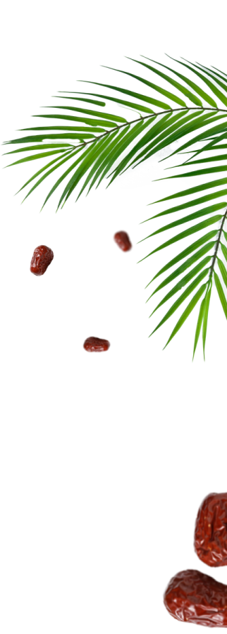 Dadel Palmblad Met Dadels Dadel Palmblad Met Dadels